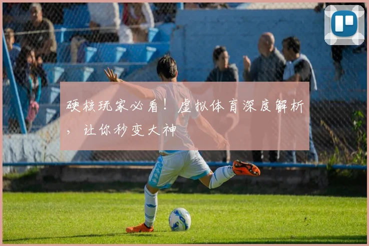 硬核玩家必看!虚拟体育深度解析,让你秒变大神